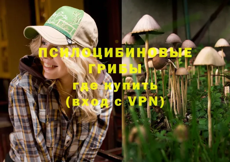 Галлюциногенные грибы Magic Shrooms  Каневская 